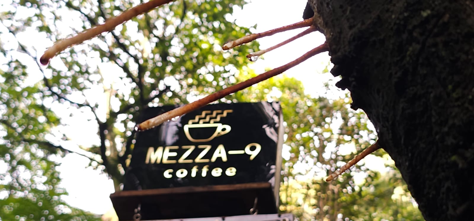 Mezza-9 | Media